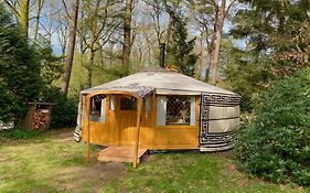Ons Yurt Huisje In Het Bos
