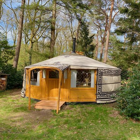 Ons Yurt Huisje In Het Bos Hollandsche Rading Buitenkant foto